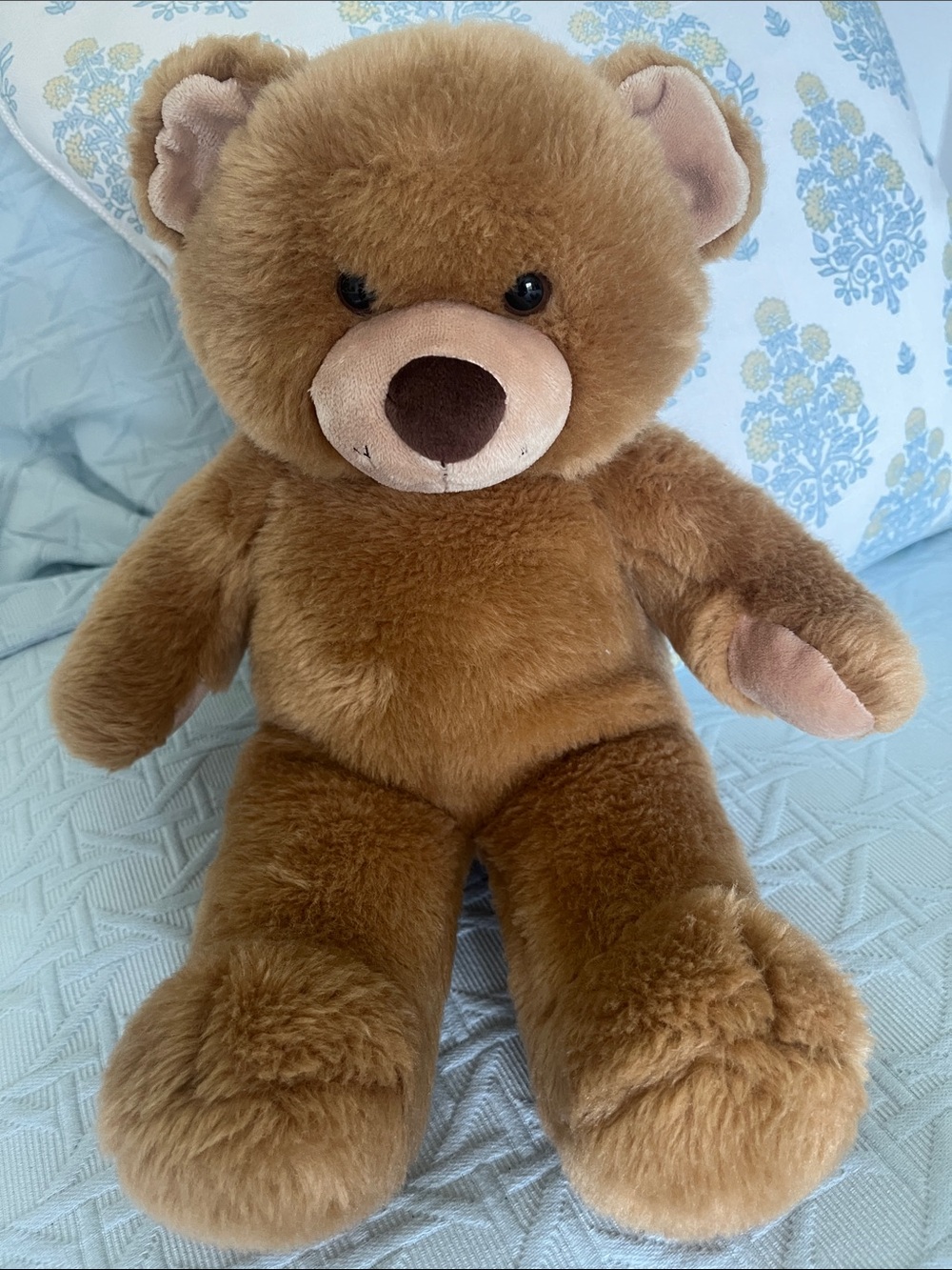 Bears - Picture 2 of 8